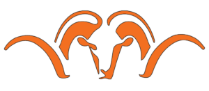 41 - blaser